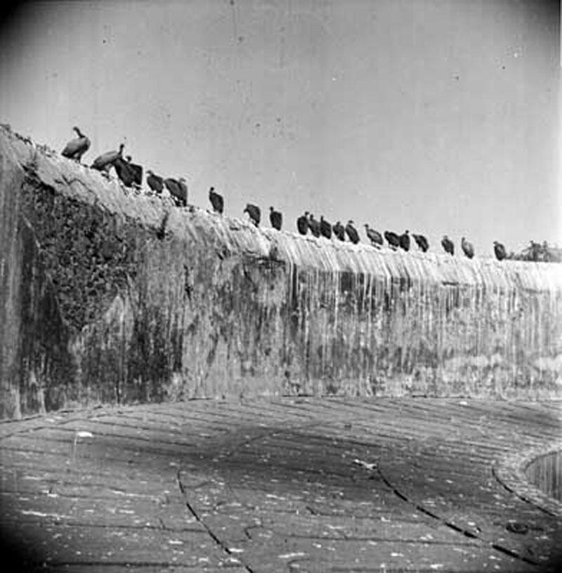 The Silent Tower ,peristirahatan terakhir penganut zoroaster