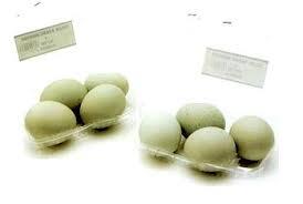 Wow! Cangkang Telur untuk Bahan Pasta Gigi?