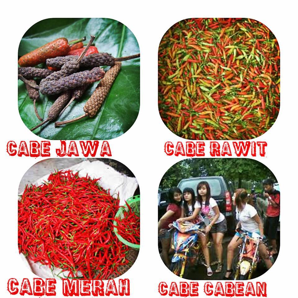 Dunia kacau semenjak ada cabe kaya gini (pic)