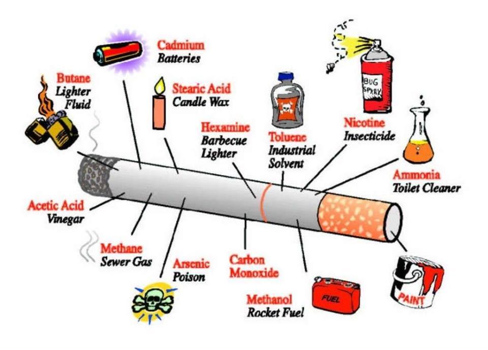 Zat-Zat Yang Berbahaya Dalam Rokok 
