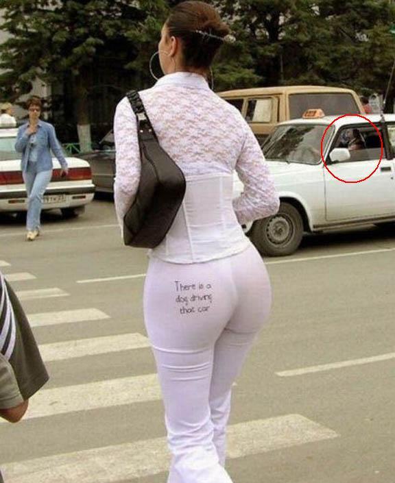 Fokus yang nyetir gan!! bukan yang HOT HOT.