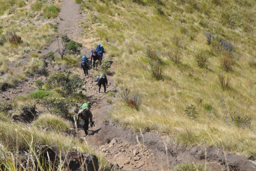 Merbabu 3142 mdpl (What a Beautiful Indonesia!)