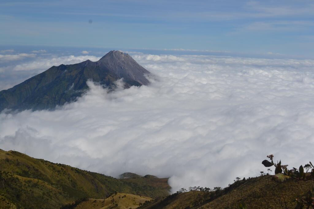 Merbabu 3142 mdpl (What a Beautiful Indonesia!)