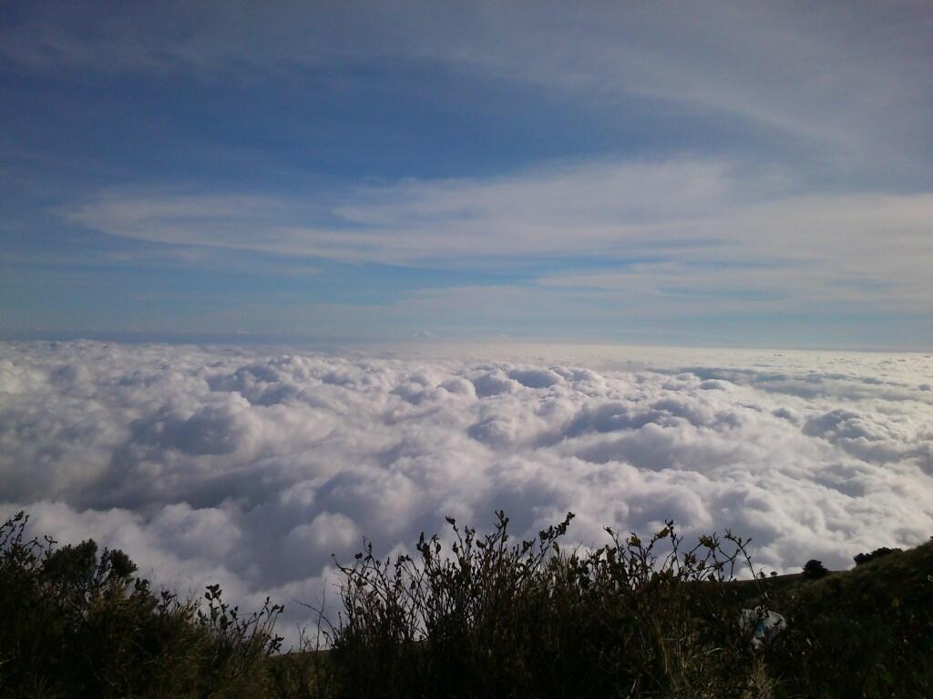 Merbabu 3142 mdpl (What a Beautiful Indonesia!)