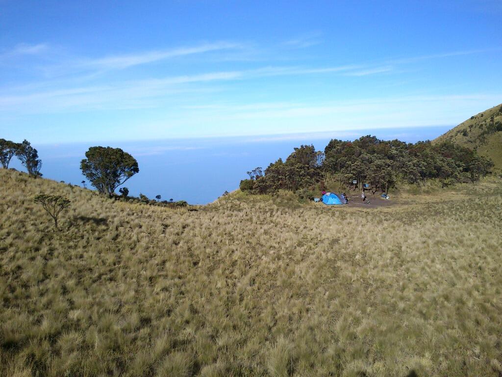 Merbabu 3142 mdpl (What a Beautiful Indonesia!)