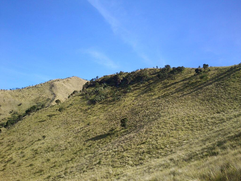 Merbabu 3142 mdpl (What a Beautiful Indonesia!)