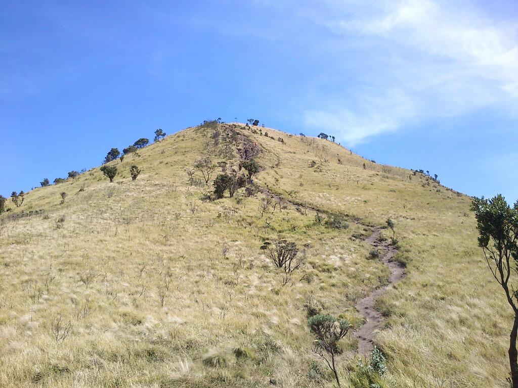 Merbabu 3142 mdpl (What a Beautiful Indonesia!)