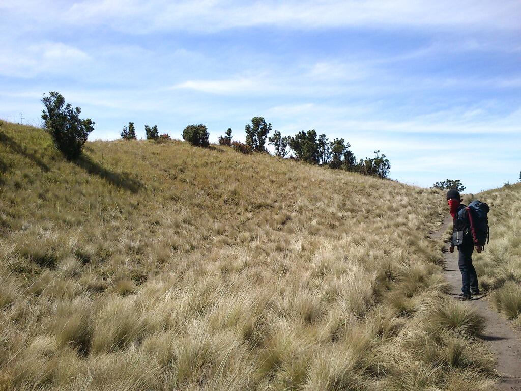 Merbabu 3142 mdpl (What a Beautiful Indonesia!)