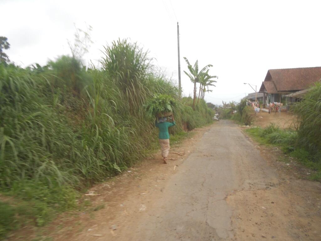 Merbabu 3142 mdpl (What a Beautiful Indonesia!)