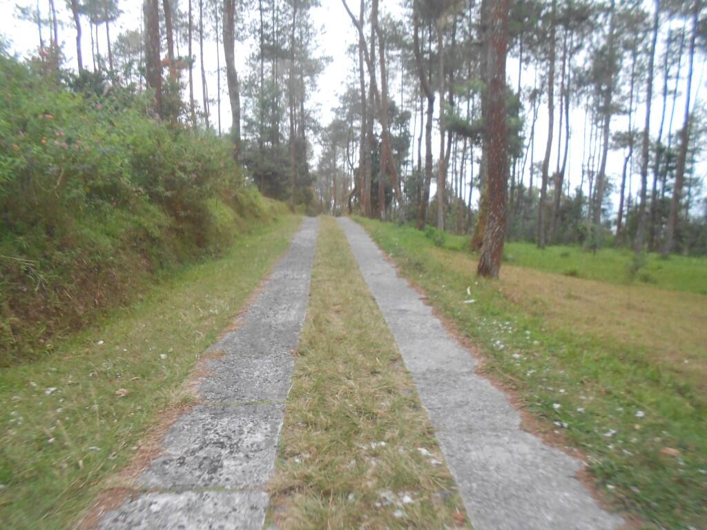 Merbabu 3142 mdpl (What a Beautiful Indonesia!)