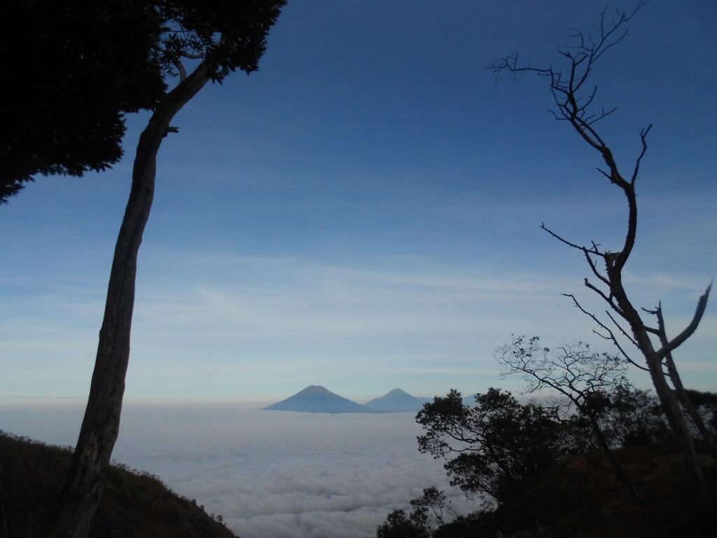 Merbabu 3142 mdpl (What a Beautiful Indonesia!)