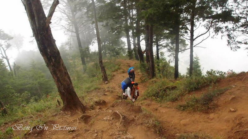 &#91;CATPER&#93; Gunung Prahu 2.565 mdpl, Golden Sunrise Negeri Diatas Awan