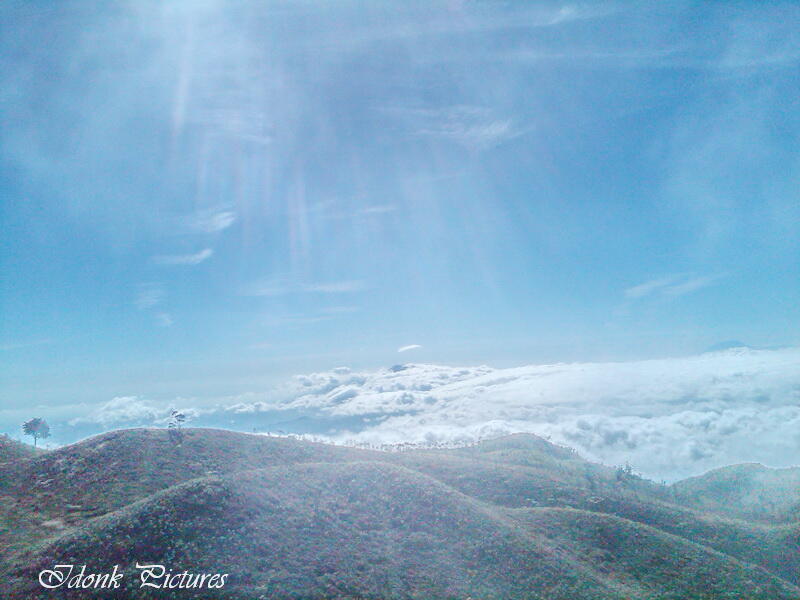 &#91;CATPER&#93; Gunung Prahu 2.565 mdpl, Golden Sunrise Negeri Diatas Awan