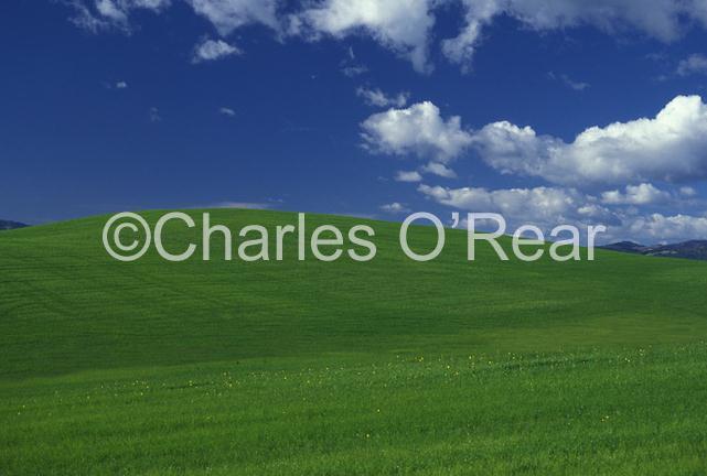 inilah gambar dan lokasi asli wallpaper win xp di buat