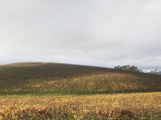 inilah gambar dan lokasi asli wallpaper win xp di buat