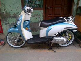 scoopy 2011 ( bisa tt sama ninja r )