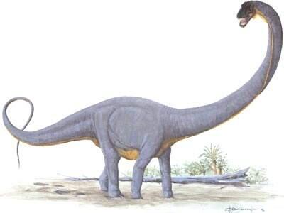 10 jenis dinosaurus paling besar