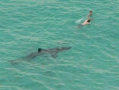 ~Pict~ THE REAL &quot;Final Desination&quot;