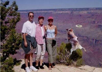 ~Pict~ THE REAL &quot;Final Desination&quot;