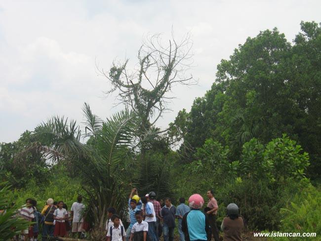 5 foto Keajaiban Allah SWT yang sangat MENAKJUBKAN