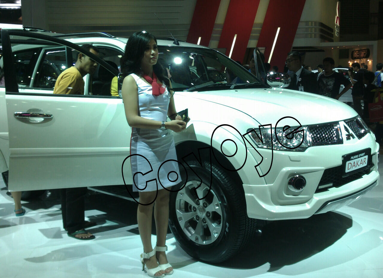 SPG IIMS 2013 &#91;pict&#93;