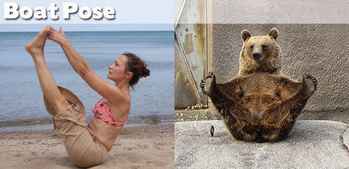 FOTO BINATANG BERPOSE ALA YOGA