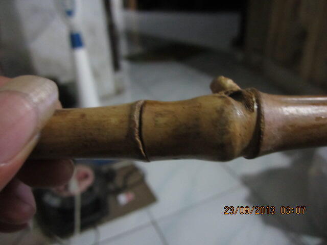 fosil telur dan bambu antik