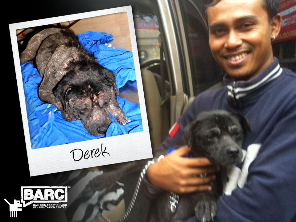 Buat Pecinta Anjing gan, perkenalkan BARC