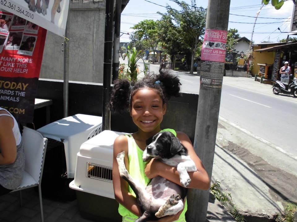 Buat Pecinta Anjing gan, perkenalkan BARC