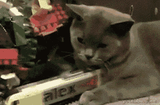50 Animasi gif tentang macam-macam Ekspresi