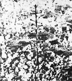  Eltanin Antenna, Makhluk Misterius di Dalam Laut Cape Horn