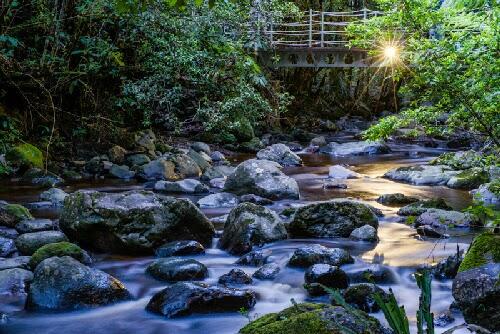 &#91;Tips&#93; Menghasilkan Foto Tajam &amp; Jernih di Kondisi Low Light