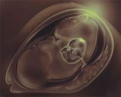 8 Fakta Ilmiah yang Kedengarnnya Aneh dan Mengejutkan