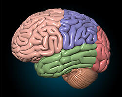 8 Fakta Ilmiah yang Kedengarnnya Aneh dan Mengejutkan