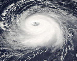 8 Fakta Ilmiah yang Kedengarnnya Aneh dan Mengejutkan