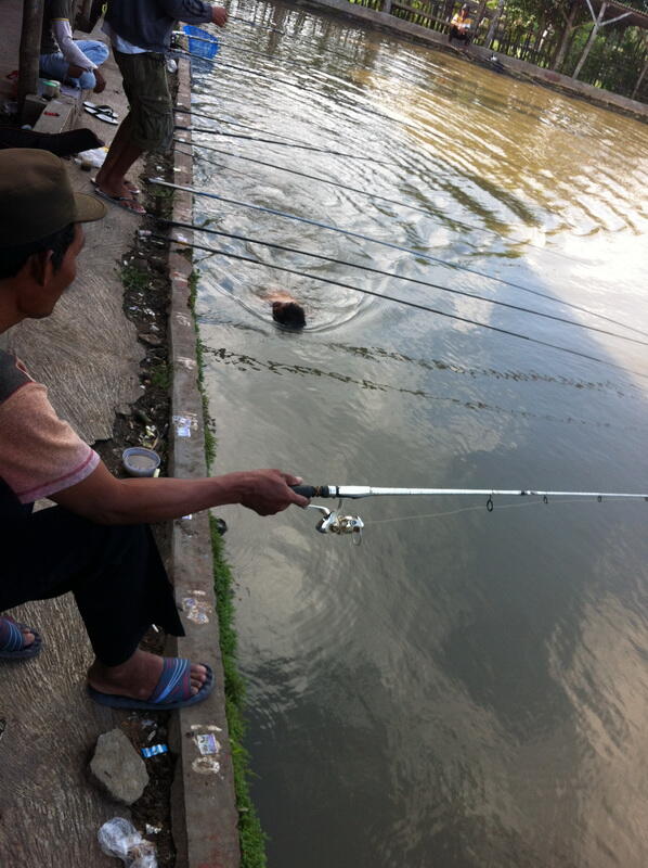 Penampakan siang-siang waktu mancing di Kolam Harian Lele..No Sotoshop!
