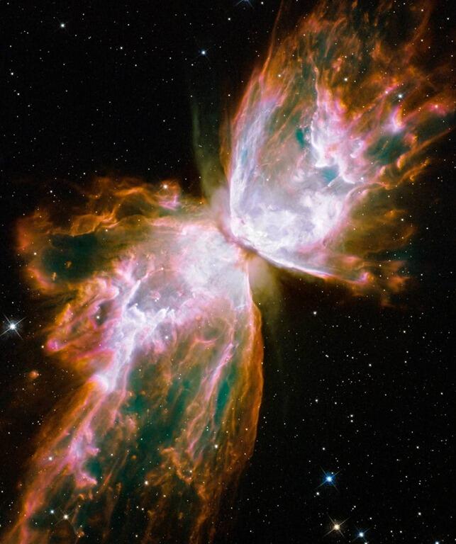 Cantiknya Butterfly Nebulae 