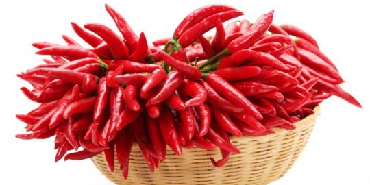  7 Pria ini koleksi benda tak lazim