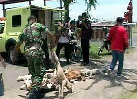 5 HAL MENAKUTKAN DIKAMPUNG ANE GAN!! 