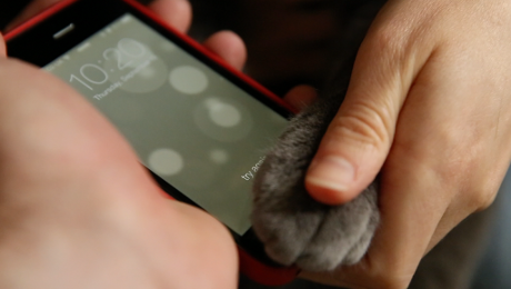 5 Noda di iPhone 5S