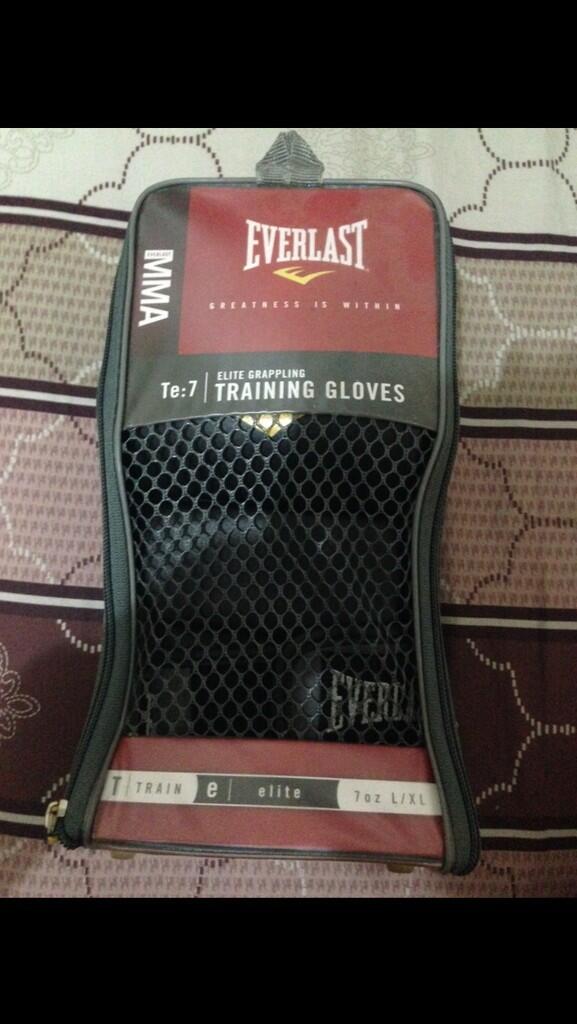 WTS MMA ELITE GRAPPLING TRAINING GLOVES ! ISTIMEWA !