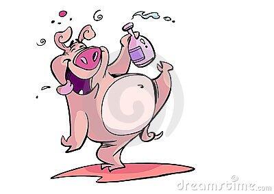 Babi Mabuk Tarung dengan Sapi setelah Minum 18 Kaleng Bir