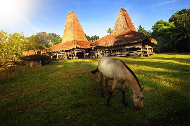 Serupa Tak Sama, Sama-Sama Eksotis : Kanawa island vs Kenawa island, Sumba vs Sumbawa