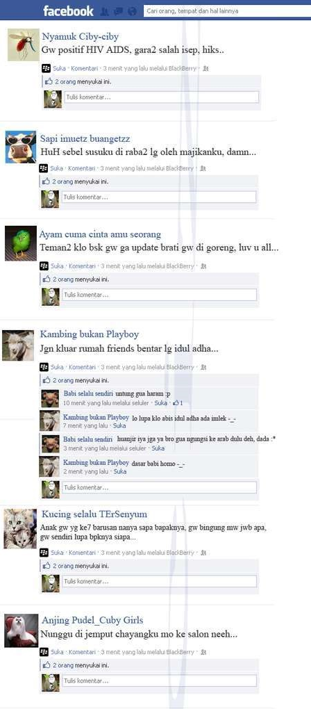 Ketika para hewan terserang virus alay facebook