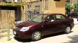 Kumpulan GIF Orang Jail. Dijamin ngakak (Masuk)