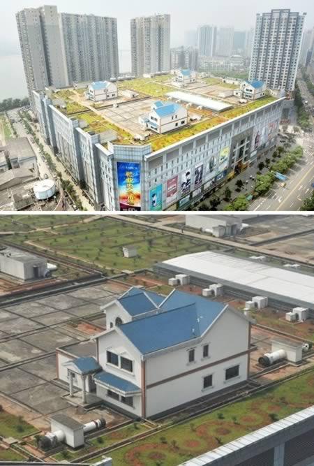 Tempat Unik dan Gila Ini Dibangun di Atas Atap! 