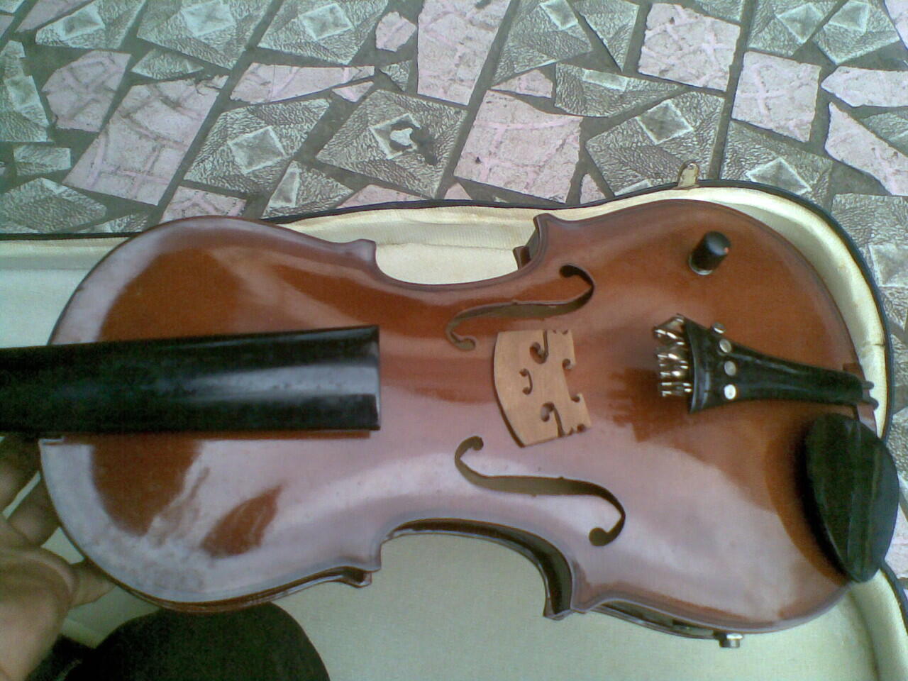 JUAL BIOLA AKUSTIK ELEKTRIK 4/4