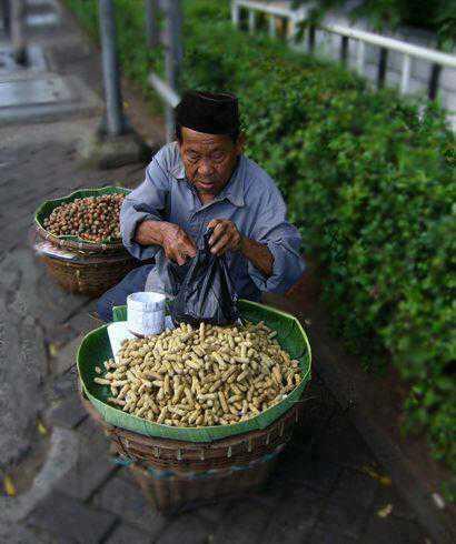 Inilah Perjuangan Kakek Tua Mengais Rejeki