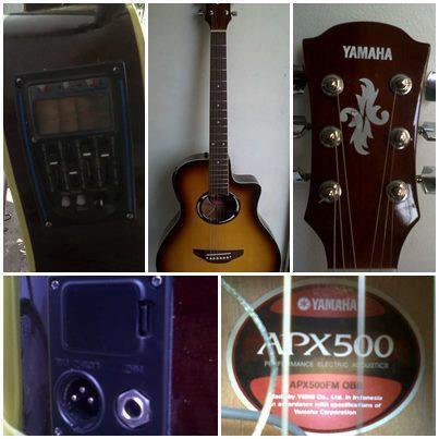 Gitar Akustik Elektrik Model APX500 (Custom)