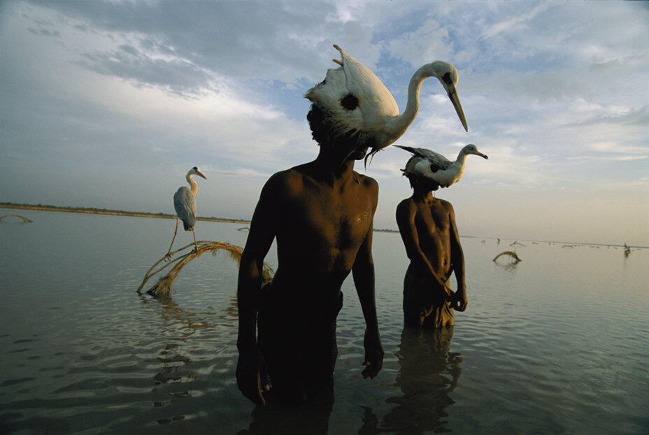Perayaan 125 Tahun National Geographic: Foto Sejak 1888